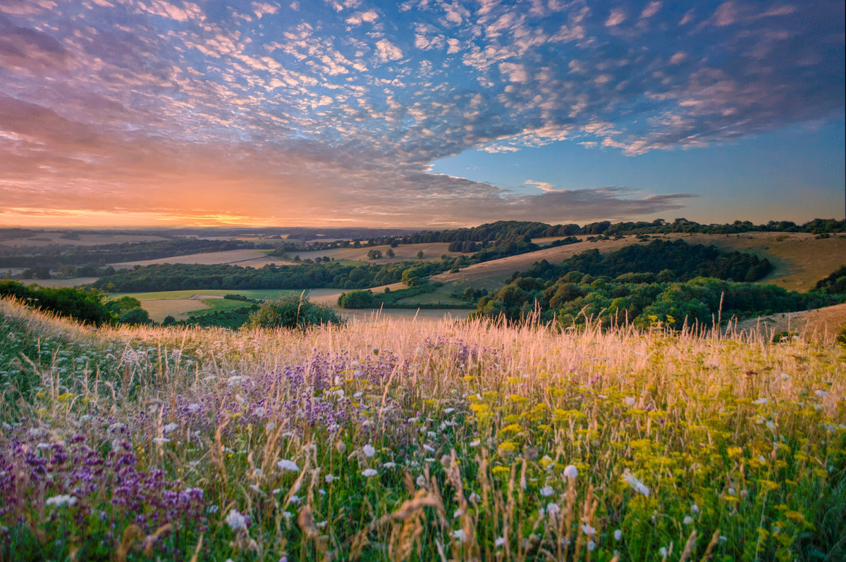 Hampshire